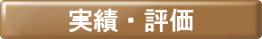 実績・評価